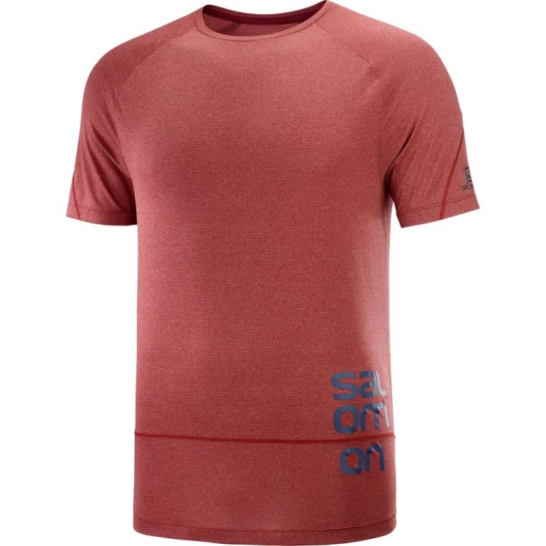 Salomon Cross Run Graphic Short Sleeve Men's T-Shirts Dark Red | CA 75I13